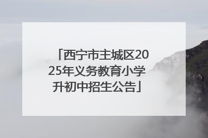 西宁市主城区2025年义务教育小学升初中招生公告